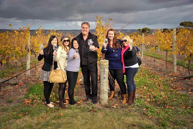 Adelaide Hills & Hahndorf Hop-On Hop-Off Wine Tour - Comfort and Group Size: Small Enough to Feel Human