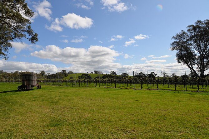 Adelaide Japanese Group Winery Day Tour in Barossa and Hahndorf - Scenic drives through Adelaide Hills and Eden Valley