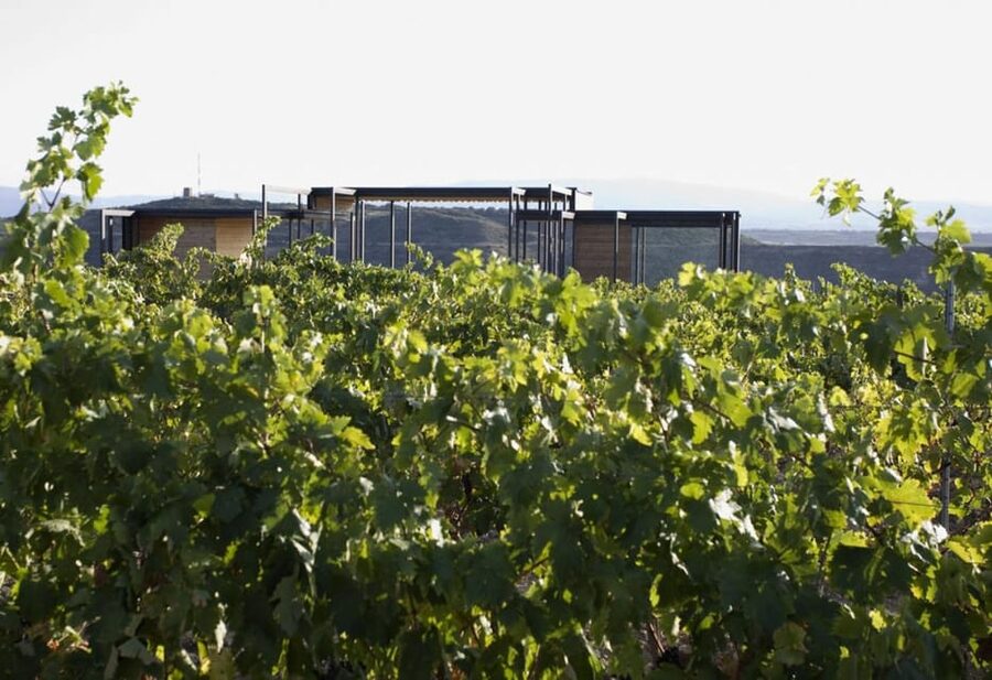 Álava: Viña Real Winery - Cheese, chorizo, and picnic snacks: the best way to understand Rioja Alavesa