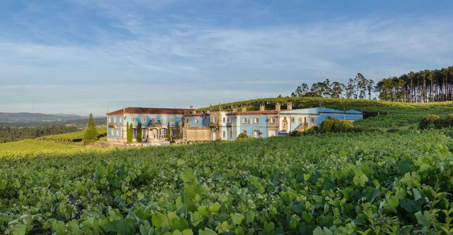 Albariño Wine Tasting with Winery Tour - Key things I’d circle before you book
