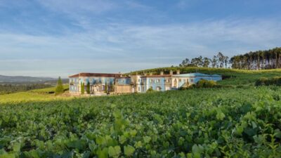 Albariño Wine Tasting with Winery Tour - The 1.5-hour flow: from vineyard path to tasting table