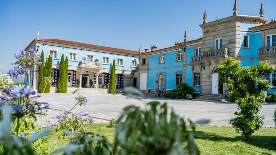 Albariño Wine Tasting with Winery Tour - Who should book this Albariño tour (and who might skip it)