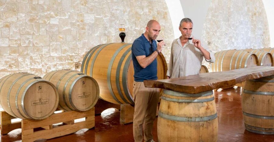 Alberobello: Winery Tour with Wine and Food Tasting - Key things you’ll notice right away