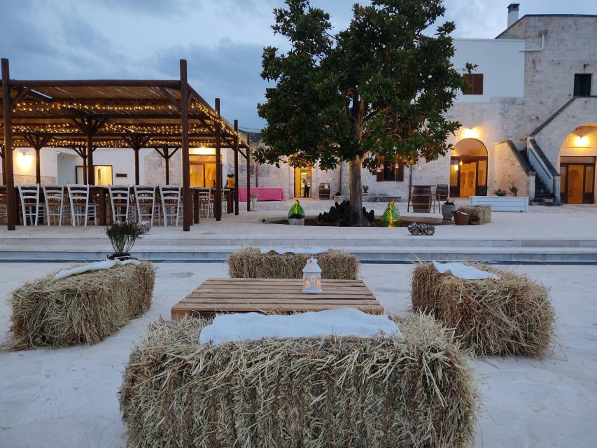 Alberobello: Winery Tour with Wine and Food Tasting - Vineyard-to-wine: what makes this tour feel worth $65