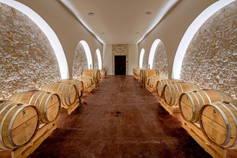 Alberobello: Winery Tour with Wine and Food Tasting - Stop 4: Primitivo with Caciocavallo DOP, cherry honey, and Capocollo DOP