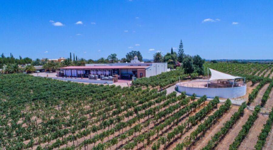 Albufeira Coast Tour, Winery & Chicken lunch - A tight 3-hour loop through Albufeira’s best angles