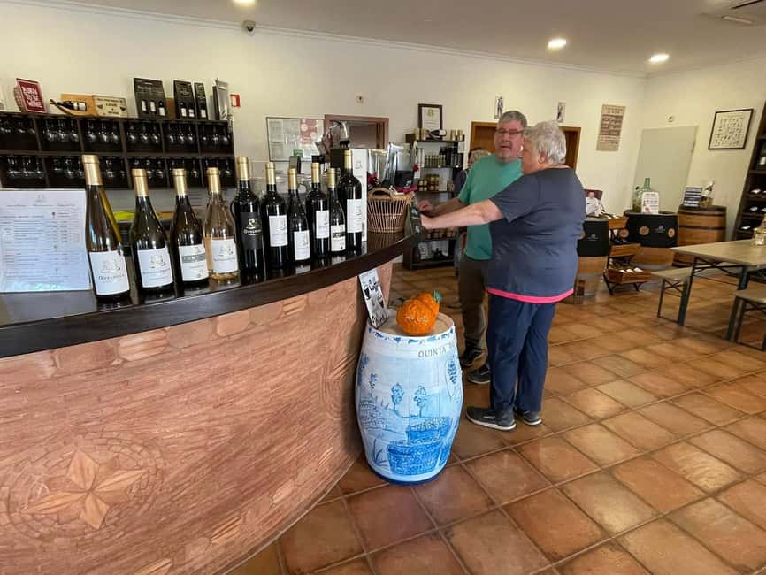 Albufeira, Olhão, Faro: Visit a vineyard, Free time in Silves - Key Things That Make This Tour Worth Your Time