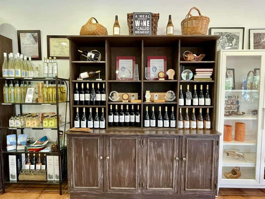 Albufeira, Olhão, Faro: Visit a vineyard, Free time in Silves - Transfers, Timing, and the Small-Group Advantage