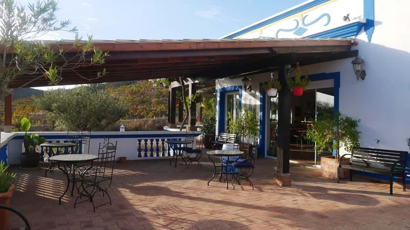Albufeira, Olhão, Faro: Visit a vineyard, Free time in Silves - Meeting the Group and Getting Rolling From Olhão, Faro, and Albufeira