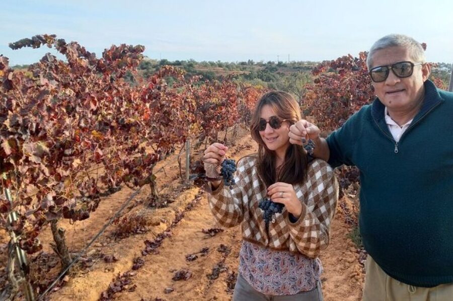 Albufeira/Vilamoura: Winery Tour with Wine Tasting and Tapas - Why This 3-Hour Algarve Wine Tasting Works