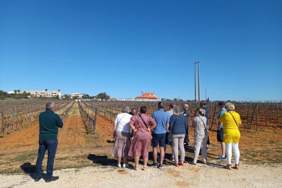 Albufeira/Vilamoura: Winery Tour with Wine Tasting and Tapas - Group energy, timing, and what to expect from your guides