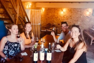 Albufeira Wine Tasting: Boutique Winery Tour & Historic Silves - Silves: Moorish capital town time and castle-area wandering