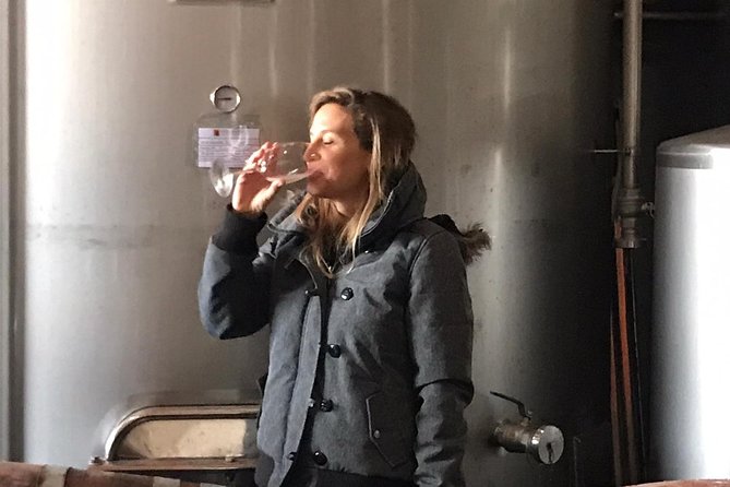 Albufeira Wine Tasting: Boutique Winery Tour & Historic Silves - Tips to make the day smoother (and tastier)
