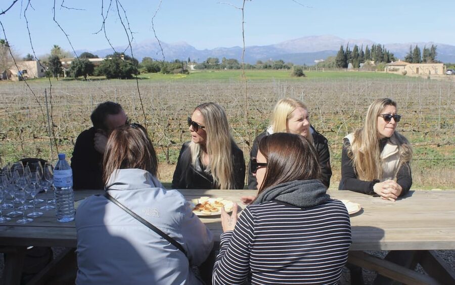 Alcúdia/Can Picafort: Guided Vineyard Visit and Wine Tasting - Languages and Group Feel: Small-Scale, Not a Factory Tour