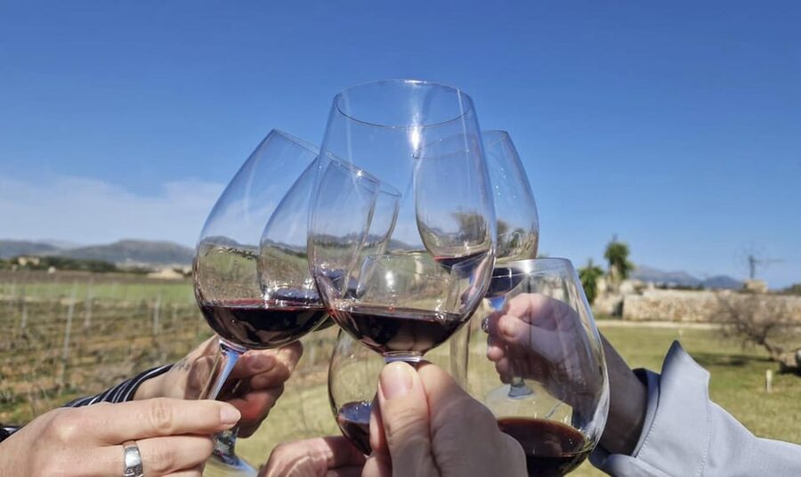 Alcúdia/Can Picafort: Guided Vineyard Visit and Wine Tasting - The Winery Start: A Family-Run Place Producing About 30,000 Bottles