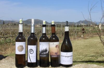 Alcúdia/Can Picafort: Guided Vineyard Visit and Wine Tasting - The Transfer: Why That 50-Minute Coach Ride Can Stretch