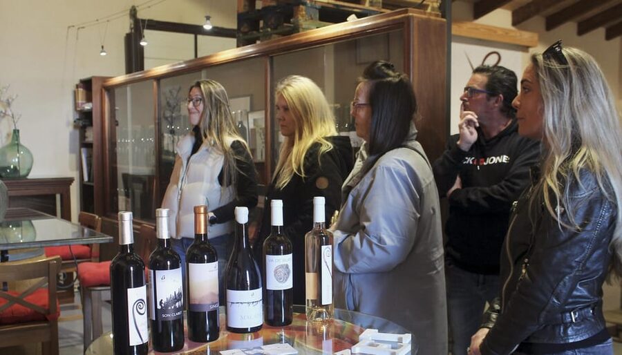 Alcúdia/Can Picafort: Guided Vineyard Visit and Wine Tasting - Inside the Cellar: Oak, Old Techniques, and Modern Choices