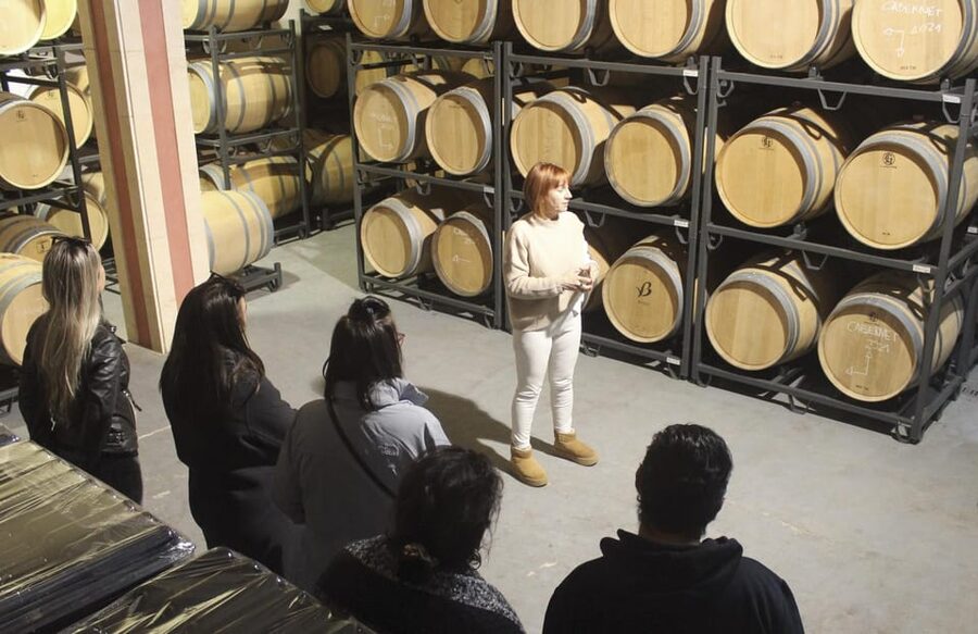 Alcúdia/Can Picafort: Guided Vineyard Visit and Wine Tasting - The Main Event: Guided Tasting of 5 Local Wines