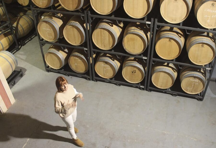 Alcúdia/Can Picafort: Guided Vineyard Visit and Wine Tasting - Snacks and Pairing: Why the Nibbles Matter