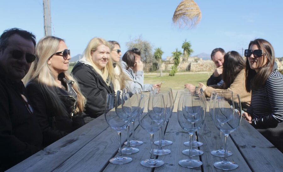 Alcúdia/Can Picafort: Guided Vineyard Visit and Wine Tasting - Buying Wine to Take Home: When It Feels Like a Reward