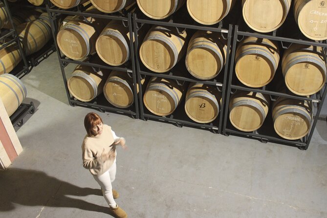 Alcudia Winecellar Tour with Vineyard Visit, Tasting of 5 Wines - Vineyard views and the pre-dinner timing: fitting wine into your day