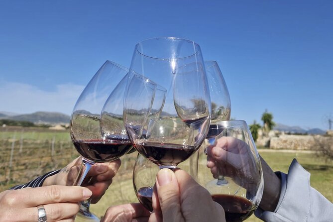 Alcudia Winecellar Tour with Vineyard Visit, Tasting of 5 Wines - Why the seaward terroir and young vineyard story matters for taste