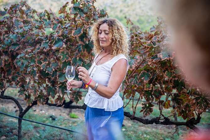 Alcudia Winecellar Tour with Vineyard Visit, Tasting of 5 Wines - Logistics that actually matter: where you meet and how the flow works