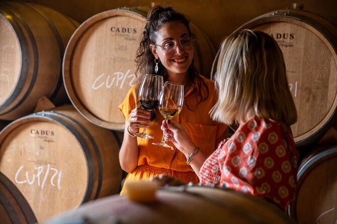 Alcudia Winecellar Tour with Vineyard Visit, Tasting of 5 Wines - Who should book this Mallorca winecellar tour