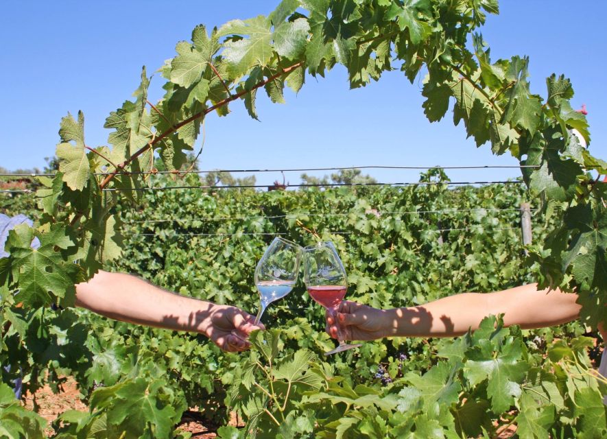 Algarve: 3 Types of Wine Tastings with Vineyard Views - Key things to know before you go