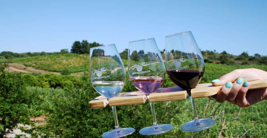 Algarve: 3 Types of Wine Tastings with Vineyard Views - Picking red or white with staff: what to ask so you get more from it