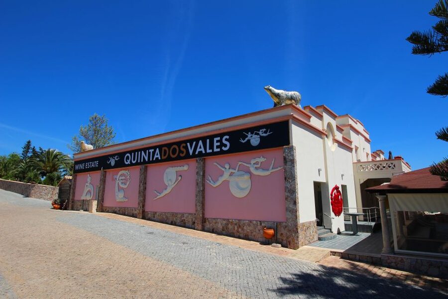 Algarve: 3 Types of Wine Tastings with Vineyard Views - Practical tips for your visit to Quinta dos Vales