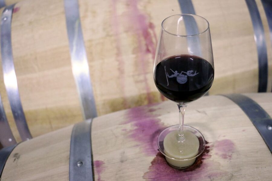 Algarve: 3 Types of Wine Tastings with Vineyard Views - Who this winery tasting is best for