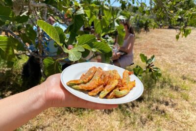 Algarve Mountais Tour with Lunch in the Vineyard - Monte Fóia: highest point views without a long grind