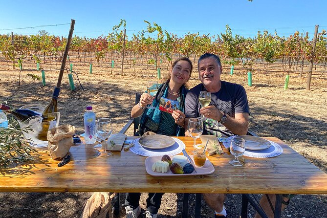 Algarve Romantic Vineyard Picnic in Carvoeiro - Algarve Gourmet vineyard stop: where the tour earns its wine tasting