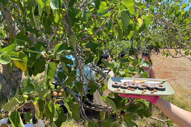 Algarve Romantic Vineyard Picnic in Carvoeiro - Pickup and transport across the Algarve: when to be ready
