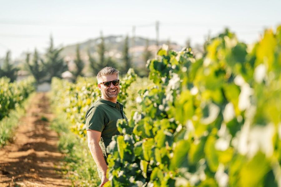 Algarve: Vineyard Tour & Premium Wine Tasting in Silves - Silves Algarve Vineyard Tour: Why Cabrita Wines feels different