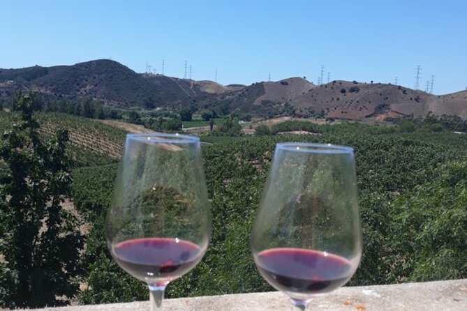 Algarve wine tour and farmer's lunch at wine estate - A good Algarve wine day needs the right rhythm