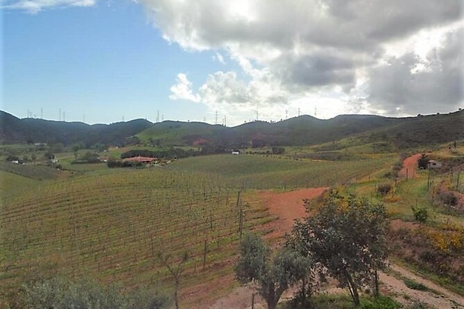 Algarve wine tour and farmer's lunch at wine estate - Quinta do Morgado da Torre: finishing with a final winery tour