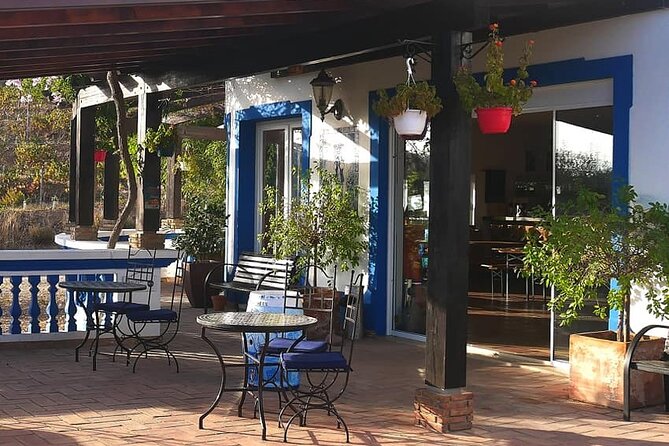 Algarve wine tour and farmer's lunch at wine estate - Who this tour is best for (and who might skip it)