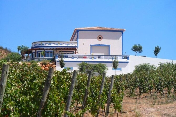 Algarve wine tour and farmer's lunch at wine estate - Morgado do Quintão or Quinta dos Santos: the farmer’s lunch that anchors the day
