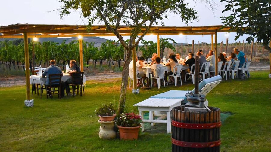 Alghero: Dinner in the Vineyard with Wine - Where this Alghero wine dinner actually takes place