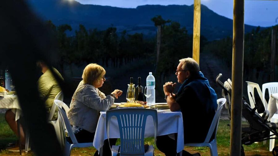 Alghero: Dinner in the Vineyard with Wine - How the Sardinian dinner is built course by course