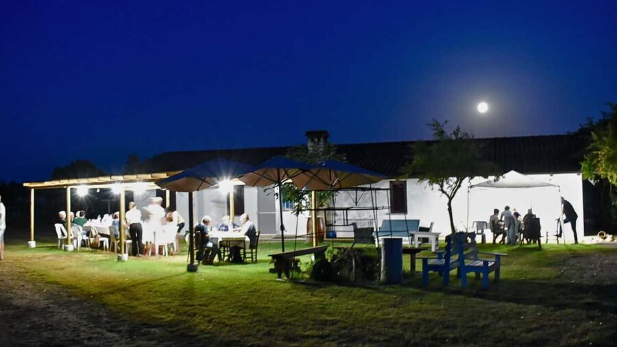 Alghero: Dinner in the Vineyard with Wine - Wine pairing: what’s included and how the pours work