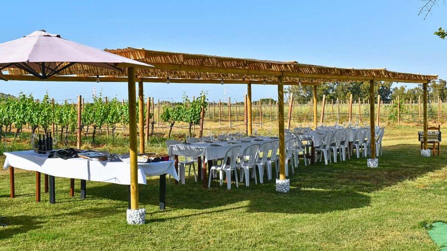Alghero: Dinner in the Vineyard with Wine - Who should book this Alghero vineyard dinner