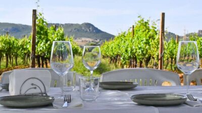 Alghero: lunch or dinner in the vineyard - The Sardinian Feast: Cold Cuts, Seasonal Pasta, Meat, and Dessert