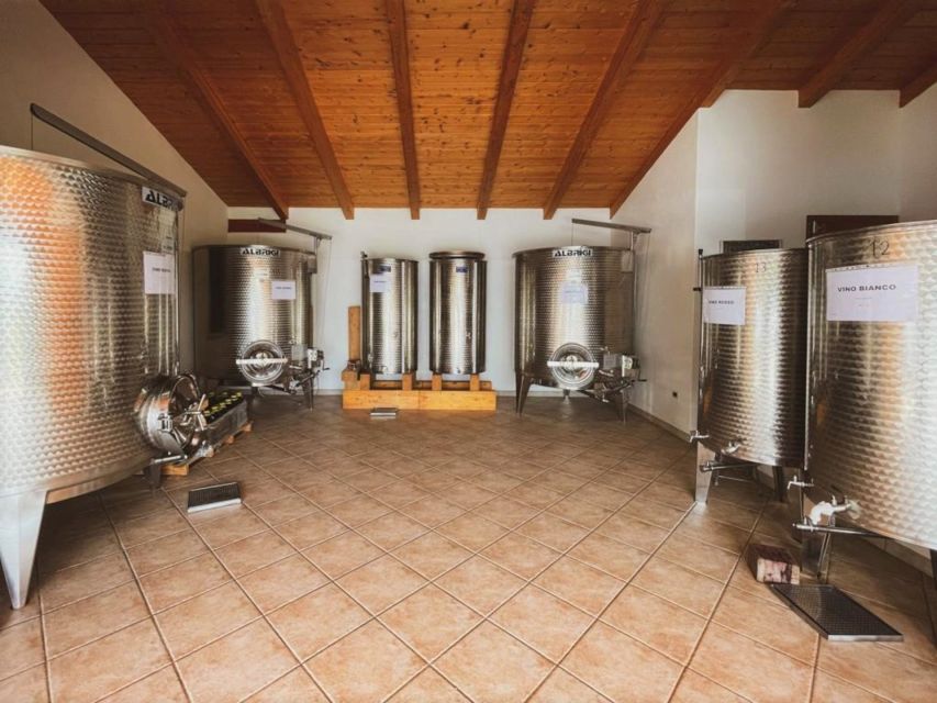 Alghero: lunch or dinner in the vineyard - Should You Book This Alghero Vineyard Lunch or Dinner?