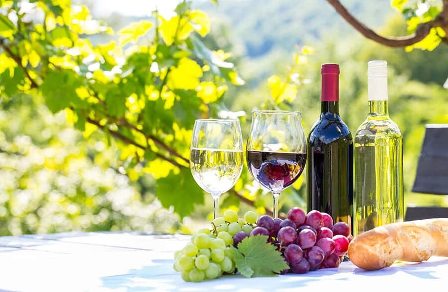 Alicante: Family Winery of Three Generations (4 testings) - Key highlights at a glance
