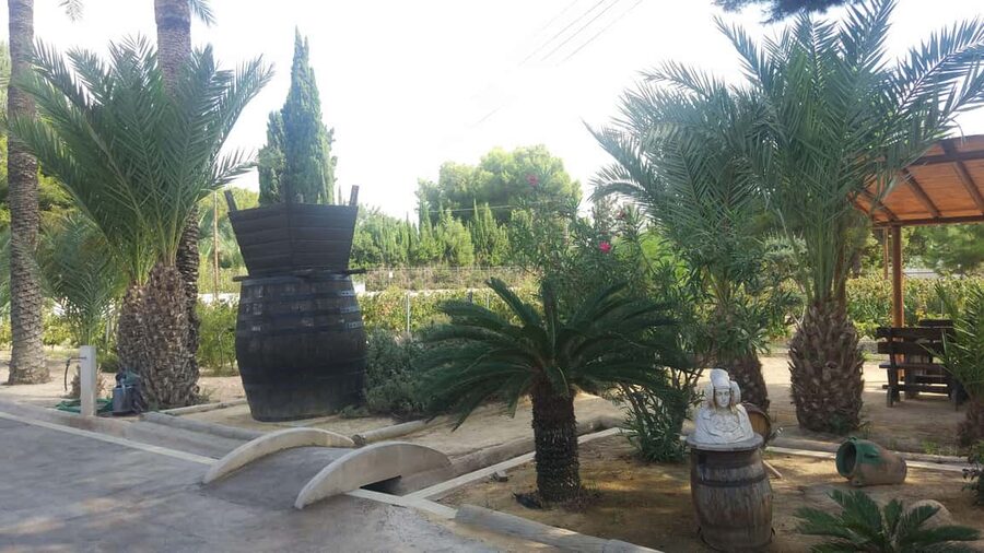 Alicante: Family Winery of Three Generations (4 testings) - BMW pickup, warm welcome, and how the 3 hours works