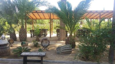 Alicante: Family Winery of Three Generations (4 testings) - The three-generation cellar tour you actually walk through