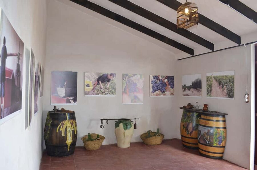 Alicante: Family Winery of Three Generations (4 testings) - Food pairing: tapas-style plates with local breads and cocas